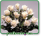 Rose Photos